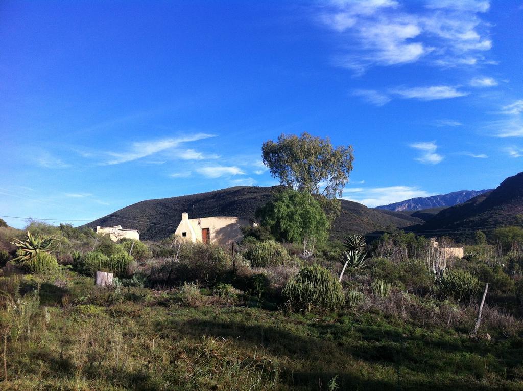 Koedoeskloof Guesthouse Ladismith Exteriör bild