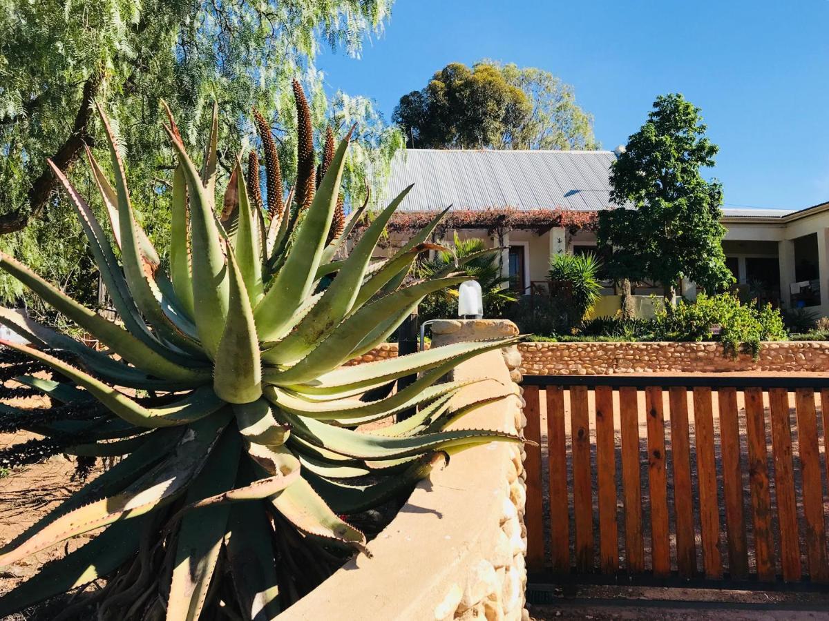 Koedoeskloof Guesthouse Ladismith Exteriör bild